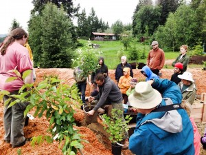 Gord teaching