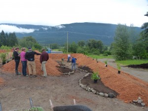 This meandering pathway with side beds was a last minute re-design by Javan and Gord. Inspired!  It's a nice walk between the two high beds.