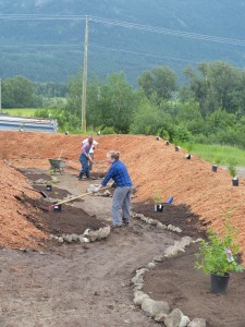 More pathway installation.