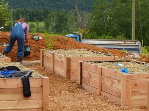 We built the raised garden beds with roof rafter and floor joists we recovered from the Nutshell. It was a labour of love but cost us nothing but our time.